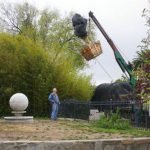 Landscaping before delivery