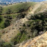 The Oakridge Trail