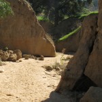 Wash scene