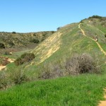 Trail up hill in newly acquired land