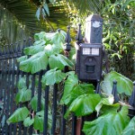 The camera