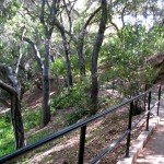 Walkway at Rancho Santa Ana Garden