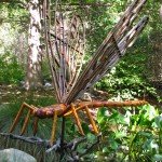 Damselfly