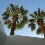 Palm Springs