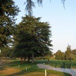 Redlands Country Club & row of 'nesting trees'