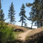 One of the many hill trails