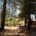 One of many picnic sites