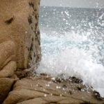 The crabs hold on through the waves
