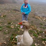a wonderful foggy day at Lake Cuyamaca