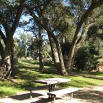 Many great picnic spots to choose from