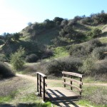 The bridge to the main trails