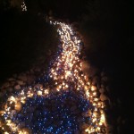 Lighting up the riverbed at Christmastime
