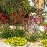 Summer view