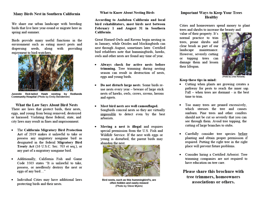 Tree Trimming Brochure (Page 2)