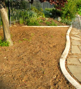 We're pulling up remaining grasses/weeds before planting with more drought resistant grass