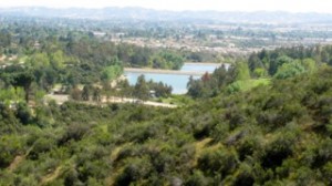 View of Yucaipa lake from Grape Street Trail