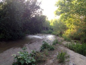 San Timoteo Creek (tributary of Santa Ana Creek) 